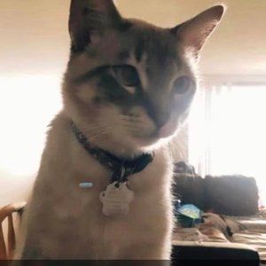 Meet your Posher, Tammy